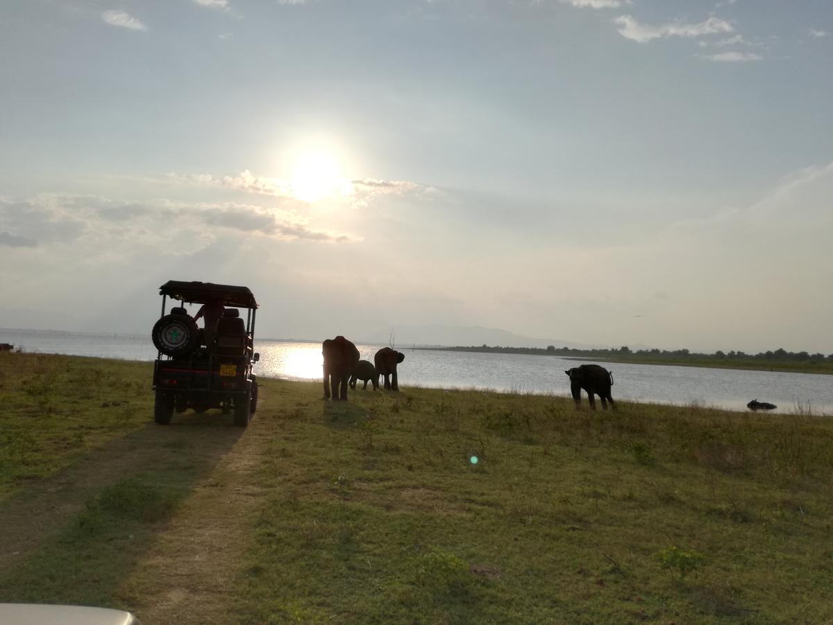 Induwara Safari Resort Udawalawe Luaran gambar