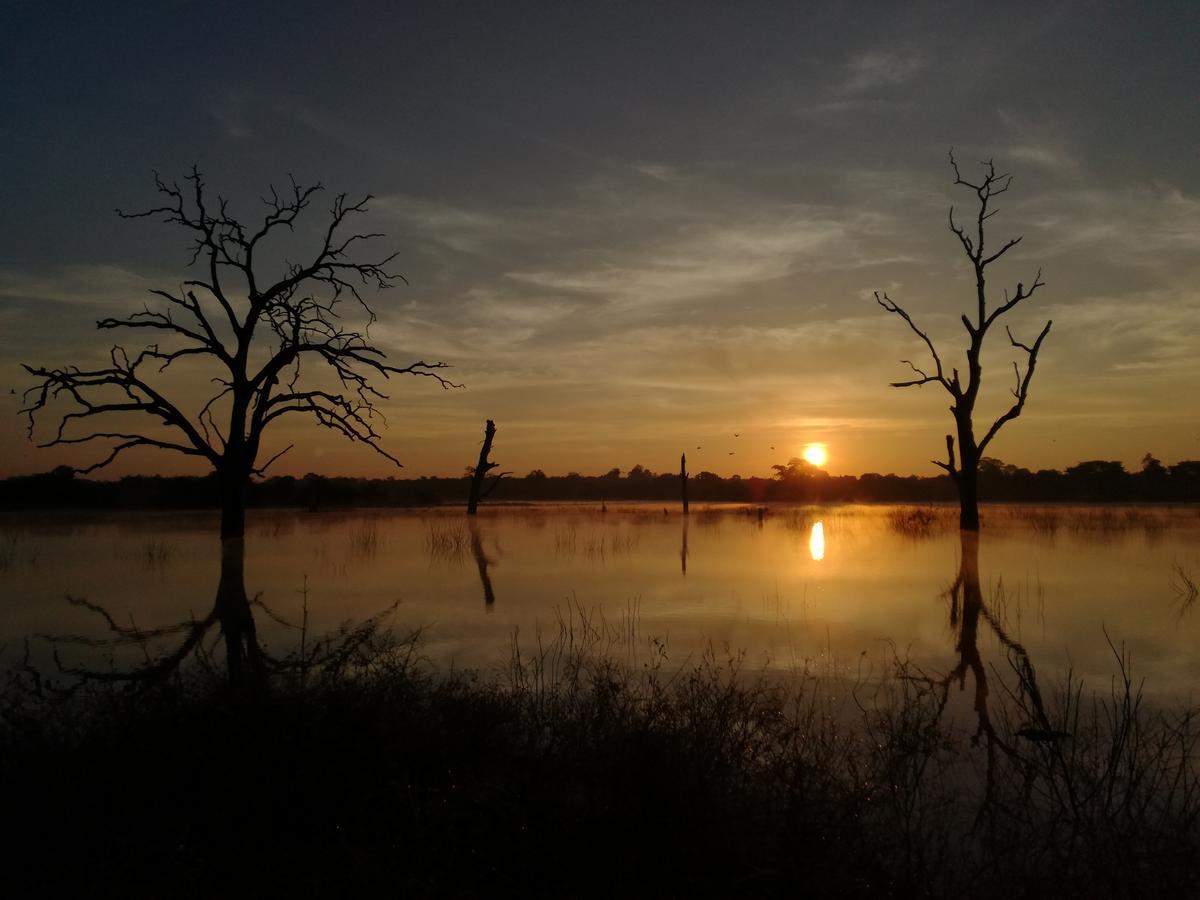 Induwara Safari Resort Udawalawe Luaran gambar